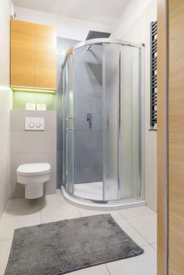 פוזנן Dabrowskiego Apartment מראה חיצוני תמונה